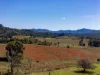 202 Wilsons Creek Road, Wilsons Creek, NSW 2482-Image