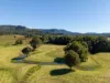 202 Wilsons Creek Road, Wilsons Creek, NSW 2482-Image