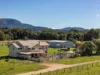 202 Wilsons Creek Road, Wilsons Creek, NSW 2482-Image