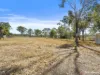 2024 Emu Park Road, Tungamull, Qld 4702-Image