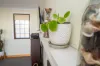 20290 Bass Highway, Cowrie Point, Tas 7321-Image