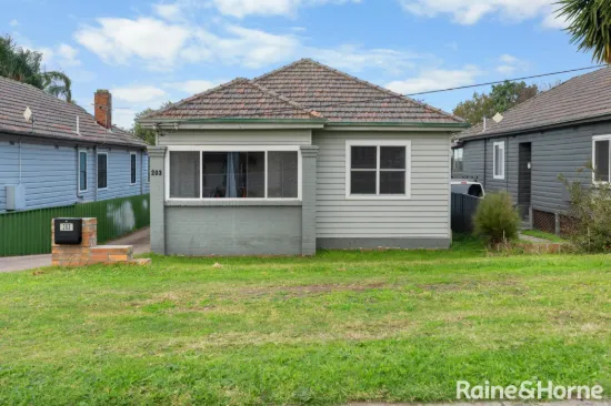 203 Maitland Road, Sandgate, NSW 2304