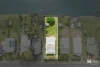 203 Tweed Valley Way, South Murwillumbah, NSW 2484-Image