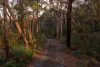 2035 Burragorang Road, Nattai, NSW 2570-Image