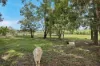 2038 Maraju-Yakapari Road, The Leap, Qld 4740-Image