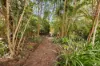 2038 Maraju-Yakapari Road, The Leap, Qld 4740-Image