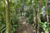 2038 Maraju-Yakapari Road, The Leap, Qld 4740-Image