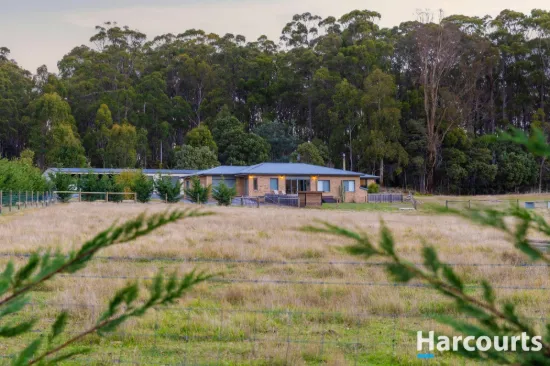 203A Palmers Road, Latrobe, Tas 7307