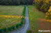 203A Palmers Road, Latrobe, Tas 7307-Image