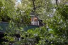 204 Longwood Road, Heathfield, SA 5153-Image