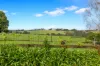 204 Main Neerim Road, Neerim South, Vic 3831-Image