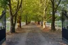 205 Beaconsfield Emerald Road, Beaconsfield, Vic 3807-Image