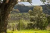 205 Whitings Road, Blewitt Springs, SA 5171-Image