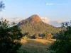 2052 Noosa Road, Traveston, Qld 4570-Image