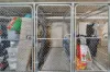 206 116 Watton Street, Werribee, Vic 3030-Image