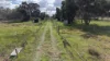 206 Blair Road, Oakford, WA 6121-Image