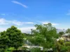 206 Buchan Street, Bungalow, Qld 4870-Image