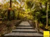 207-215 Bruce Highway, Edmonton, Qld 4869-Image