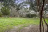 207 Lines Road, Willyaroo, SA 5255-Image