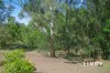 207A Bridgman Road, Singleton, NSW 2330-Image
