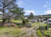 208 Maybe Street, Bombala, NSW 2632-Image