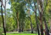 208 Wharparilla Drive, Echuca, Vic 3564-Image