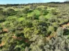 209 Coondle Drive, Coondle, WA 6566-Image