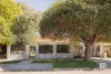 209 Herbert Street, Doubleview, WA 6018