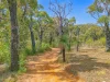 209 McLeod Road, Shadforth, WA 6333-Image