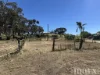 209 Moppa Road, Nuriootpa, SA 5355-Image