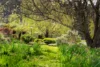 209 Watsons Road, Kettering, Tas 7155-Image
