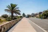 20A Matthew Street, Grange, SA 5022-Image