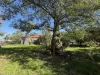 21-23 Dugga Street, Peak Hill, NSW 2869-Image