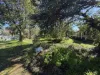 21-23 Dugga Street, Peak Hill, NSW 2869-Image