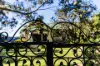 21-23 Palace Street, Denman, NSW 2328-Image