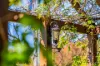 21-23 Palace Street, Denman, NSW 2328-Image