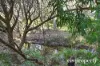 21 & 30 Richards Road, Berriedale, Tas 7011-Image