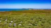 21/90 Beach Road, Noosa North Shore, Qld 4565-Image