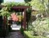 21 Adair Street, Maldon, Vic 3463-Image