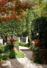 21 Adair Street, Maldon, Vic 3463-Image