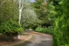 21 Alpine Crescent, Grindelwald, Tas 7277-Image