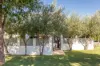 21 Ardross Crescent, Coolbinia WA 6050-Image