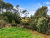 21 Argyle Street, Upper Burnie, Tas 7320-Image