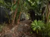 21 Ash Street, Yamanto, Qld 4305-Image
