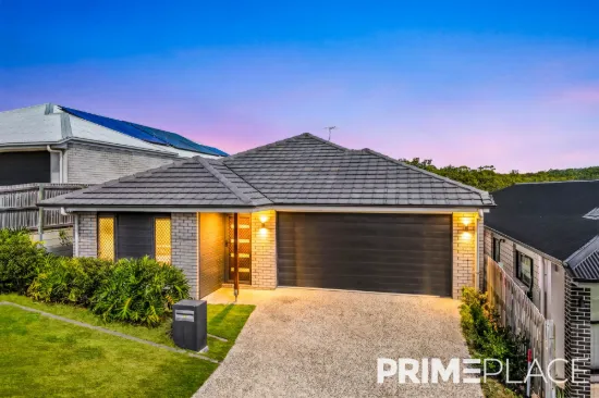 21 AURORA STREET, Spring Mountain, Qld 4300