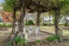 21 Barronhurst Court, Pemberton, WA 6260-Image