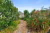 21 Beatty Street, Rochedale South, Qld 4123-Image