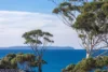 21 Booth Avenue, Narrawallee, NSW 2539-Image