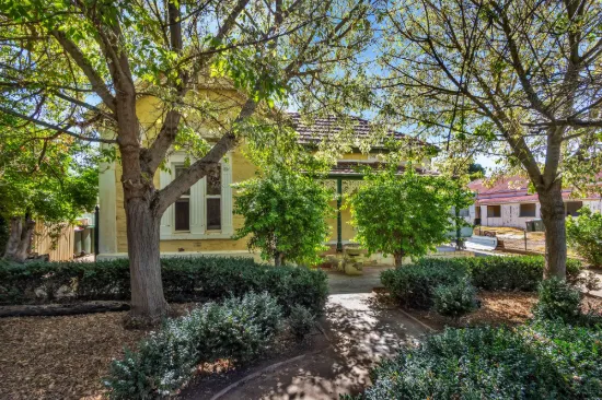 21 Borrow Street, Freeling, SA 5372