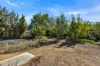 21 Borrow Street, Freeling, SA 5372-Image